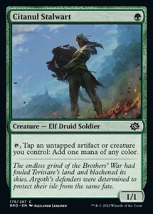 MTG ■緑/英語版■ 《シタヌールの重鎮/Citanul Stalwart》兄弟戦争 BRO