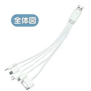 USBケーブル 5in1 充電 minib microb lightning ライトニング