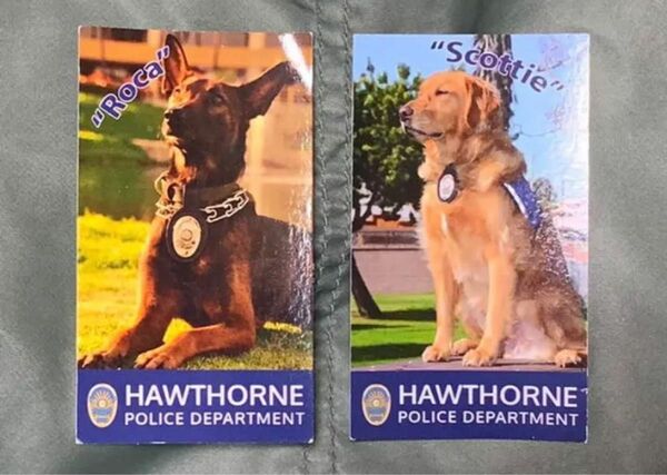 カリフォルニア州ホーソーン警察　警察犬名刺