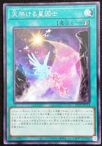 【遊戯王】天架ける星因士(ノーマル)23TP-JP114