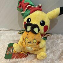 ポケモンセンター ぬいぐるみ ピカチュウクリスマス　デデンネ　Pokemon 2022_画像1