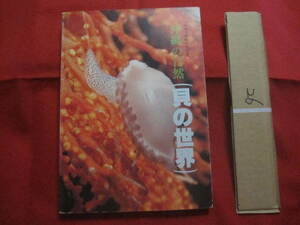 ★沖縄の自然 　　 貝の世界 　　 カラー百科シリーズ　⑩ 　　　　 【沖縄・琉球・自然・海洋生物・動物・図鑑】