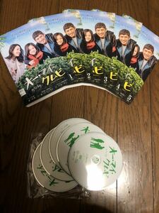 韓国ドラマ オー・マイ・クムビ DVD 全話