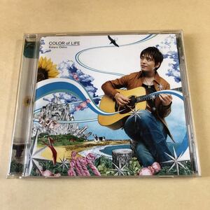 押尾コータロー 1CD「COLOR of LIFE」