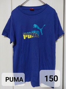 PUMA　プーマ　半袖　ティーシャツ　Tシャツ　紫　パープル　150　
