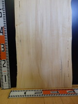 e3041227 ポプラ●約97.6cm×32.5cm～37cm×2.3cm☆無垢板１枚板 木材 板 DIY 板材 天板 棚板 テーブル 看板 花台など種類豊富！_画像10