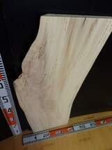 e3041241 ポプラ●約81cm×31cm×2.3cm☆無垢板１枚板 木材 板 DIY 板材 天板 棚板 テーブル 看板 花台など種類豊富！_画像7