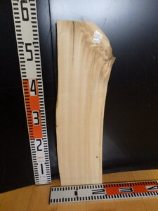 e3041243 ポプラ●約54.5cm×16.5cm×2.2cm☆無垢板１枚板 木材 板 DIY 板材 天板 棚板 テーブル 看板 花台など種類豊富！