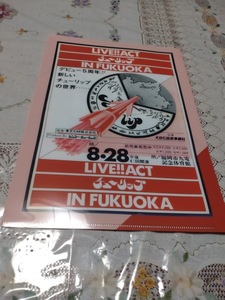 チューリップ☆クリアファイル☆デビュー5周年LIVE!!ACTチューリップinFUKUOKA☆福岡市九電記念体育館