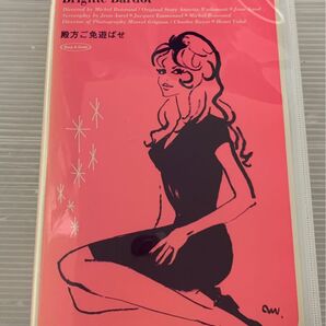殿方ご免遊ばせ VHS 字幕スーパー