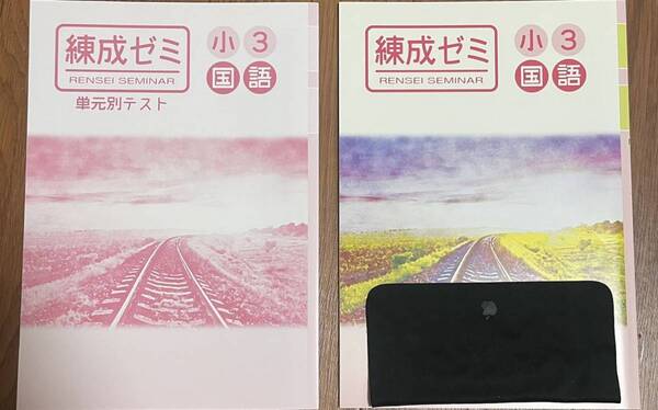 未使用 春期 練成ゼミ 小3国語 解答解説付 塾専用教材 送料込