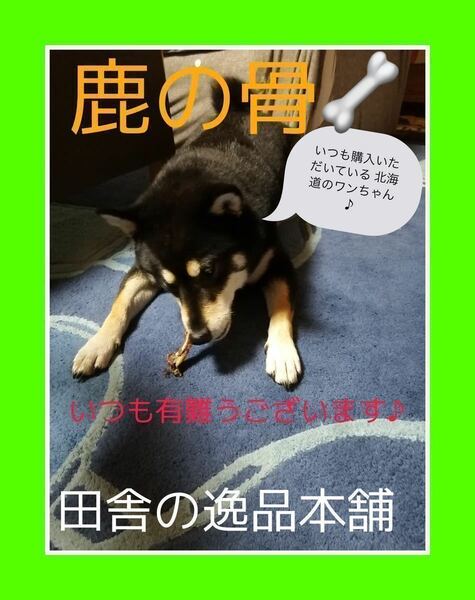 ★ワンちゃんのストレス発散に★鹿の骨 犬用 ガム 100g以上 小型犬〜中型犬用 送料無料