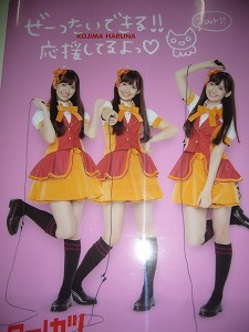 Free shipping AKB48 x Hotto Motto Not for sale Clear file Kojima Haruna, Celebrity Goods, photograph