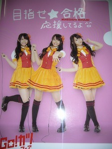 Free Shipping AKB48×Hotto Motto Not for Sale Clear File Minegishi Minami, Talent goods, photograph