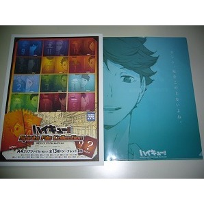 送料無料 ハイキュー!! Spirits File Collection 及川 青葉城西