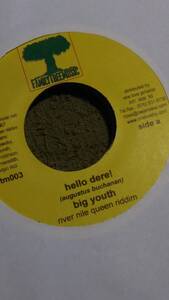 Heavy Roots Track River Nile Queen Riddim Single 3枚Set from Family Tree Music Big Youth Carl Dawkins Sugar Minott