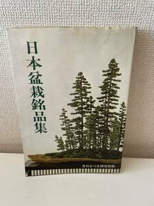 【日本盆栽銘品集 月刊さつき研究別冊】栃の葉書房 昭和54年 盆栽