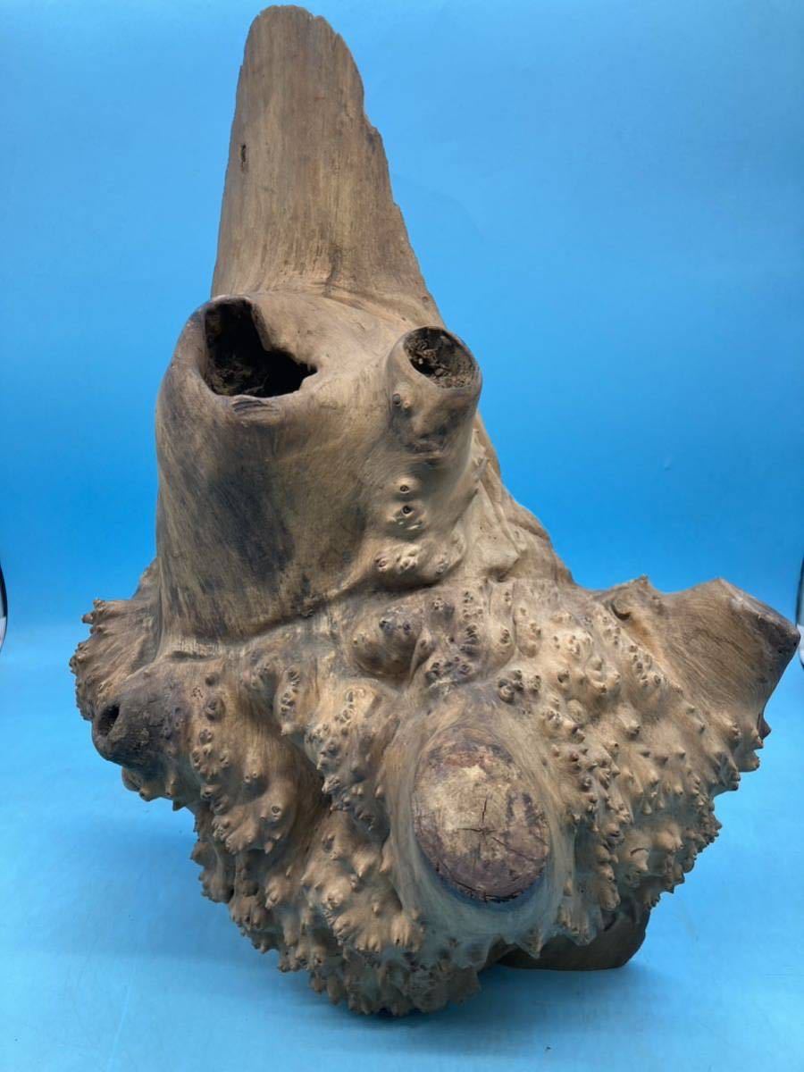2023年最新】ヤフオク! -切り株 オブジェ(アンティーク、コレクション