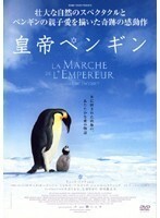 【中古】《バーゲン30》皇帝ペンギン b13764／SJ-10151D【中古DVDレンタル専用】