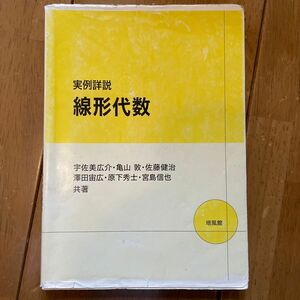 実例詳説線形代数 宇佐美広介／共著　亀山敦／共著　佐藤健治／共著　澤田宙広／共著　原下秀士／共著　宮島信也／共著