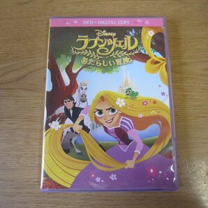 【DVD】ラプンツェル あたらしい冒険の画像1