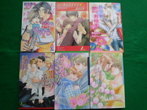 BL新書11冊セット(4)★森本あき・火崎勇・神奈木智・島みのり他/番外編同人誌1冊おまけ付き_画像2