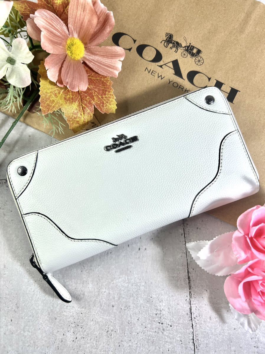 19900円ジャパン アウトレット 免税品購入 【新品】COACH ミッキー
