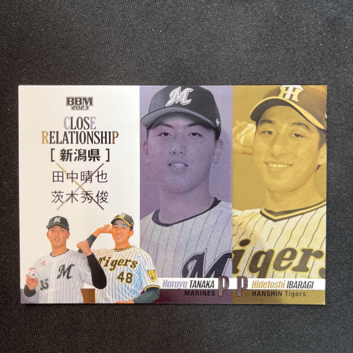 出産祝いなども豊富 2023 BBM RC 千葉ロッテマリーンズ 田中晴也