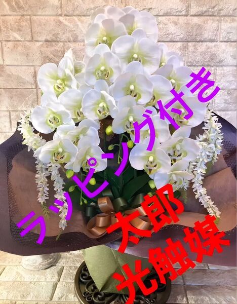 光触媒 人工観葉植物 ウォールグリーン フェイクグリーン リアル胡蝶蘭7848