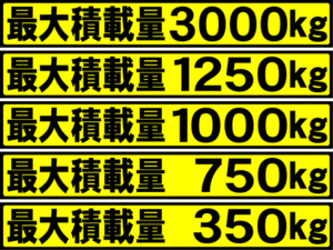 最大積載量　黄　　１８センチ 　２枚組