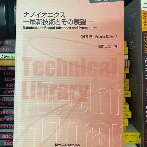 ナノイオニクス　最新技術とその展望　普及版 （新材料・新素材シリーズ） 山口周／監修