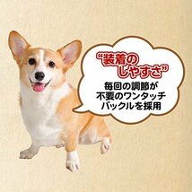 ペティオ (Petio) メリカジ スターリード オレンジ 中型犬用 M サイズ_画像4