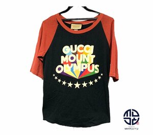 GUCCI Gucci MOUNT OLYMPUS mount Olympus damage T-shirt short sleeves apparel S size 661863