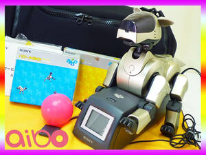 SONY ソニー AIBO アイボ エンタテインメントロボット ソフト2枚 ケース 付属品多数 ERS-210 バーチャルペット ハロー ライフ 通電OK 現状 