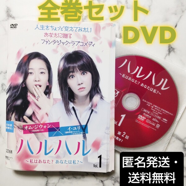 イ・ユリ★オム・ジウォン『ハルハル～私はあなた?あなたは私?～』レンタル落ちDVD★全巻★韓国ドラマ