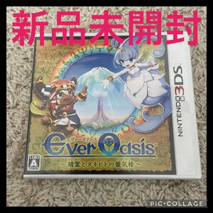 新品未開封！3DS Ever Oasis(エヴァー オアシス) 精霊とタネビトの蜃気楼