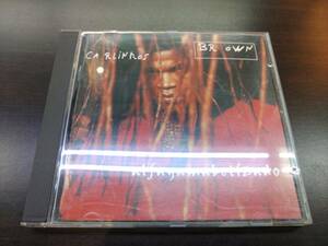 CD / CARLINHOS BROWN　カルリーニョス　ブラウン / 『D19』 /中古