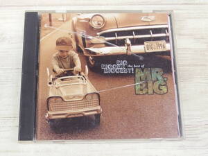 CD / Big, Bigger, Biggest : The Best Of / MR.BIG / 『D20』 / 中古＊ケース破損