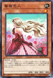 遊戯王カード 薔薇恋人(ノーマル) 蟲惑魔の森（SD45） バラ・ラヴァー 効果モンスター 地属性 植物族