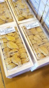 特選最高級稚内産木折ムラサキウニ1枚120ｇ×5枚合計600ｇ入り 北海道産