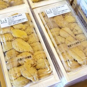 特選最高級稚内産木折ムラサキウニ1枚120ｇ×5枚合計600ｇ入り 北海道産