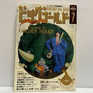 ビッグゴールド 1993年6/17号 No.7★漫画/ビッグコミック特別編集増刊/青年漫画雑誌/松本零士/水島新司/水木しげる/山岸凉子