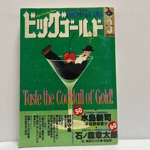 ビッグゴールド 1996年3月号★漫画/ビッグコミック特別編集増刊/青年漫画雑誌/松本零士/水島新司/石ノ森章太郎/村野守美