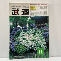 月刊 武道 1998年6月号 VOL.379★1998年全日本柔道選手権大会 /銃剣道 /空手道 /気 /篠原信一 /井上康生_画像1