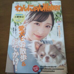小栗有似 わんにゃん Walker 「グッドモーニング、眠れる獅子2」ヒロインAKB48 ハイウェイウォーカー北海道も有ります。