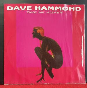 Dave Hammond / Take Me Higher 12inchその他にもプロモーション盤 レア盤 人気レコード 多数出品。