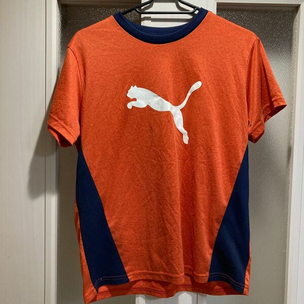 PUMA140cm半袖Tシャツ