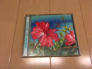 LOVERS POP FLOWER / LOVERS ROCREW