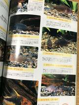フィッシュマガジン コリドラス カタログ 淡水エイ 熱帯魚 2008.2 Vol.503_画像4