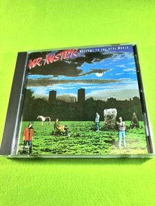 （中古 CD）ウェルカム・トゥ・ザ・リアル・ワールド／Mr.ミスター